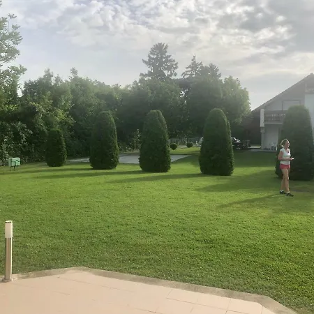 Frankie Iii. * Balatongyörök